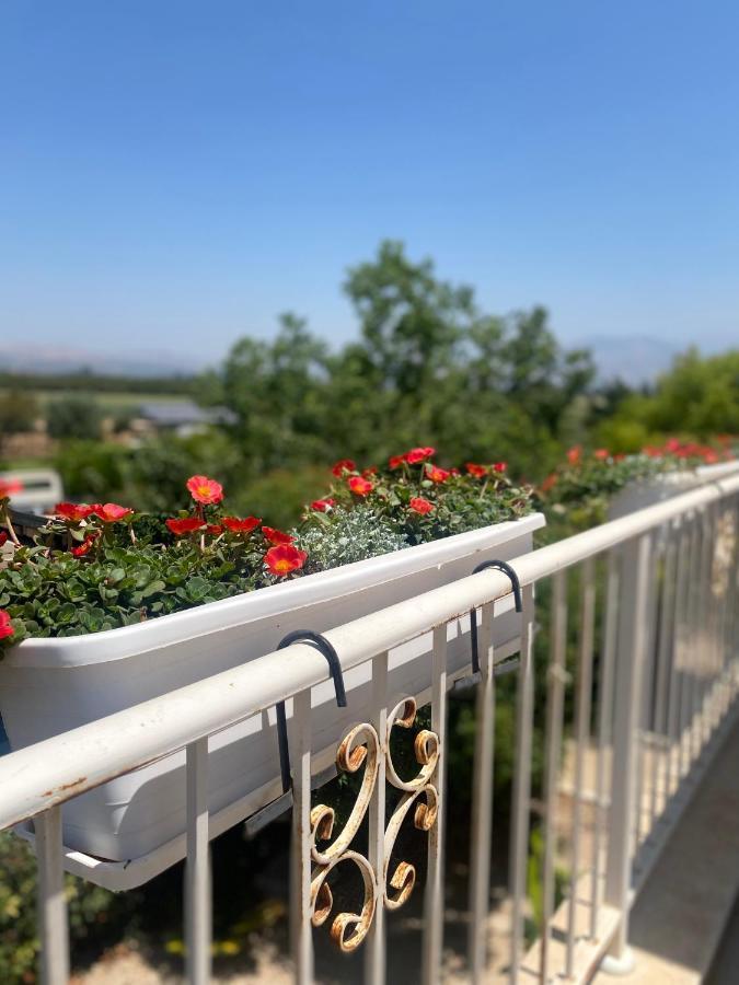 The Roof Apartment Kfar Blum Bagian luar foto